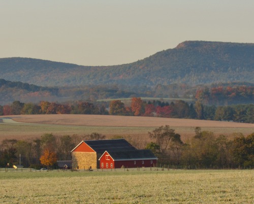 Views across the landscape.