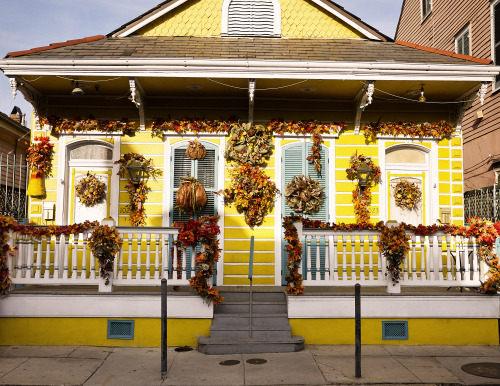 Enjoyed a Sunday afternoon with Sarah, strolling through the French Quarter and taking in the sights