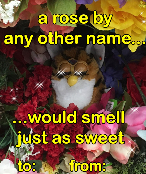 fubblers: Some more furby valentines! Send these to your crush without context.Furbies belong to: @f