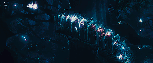 areddhels:  ❧ make me choose: toperditionandbackspeaks asked: “Lothlórien