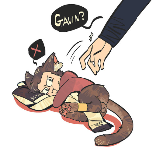 shiyeyeye: [猫与900G]about cat!gavin and nines~