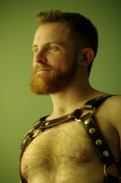 allabitfuzzy:  @willcub gave me a little photo shoot this afternoon in my new harness.  Definitely digging the look!