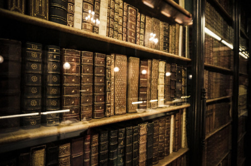 marlessa:Magnificent Book Cabinet (le Cabinet des Livres) in the Château de Chantilly&nbs