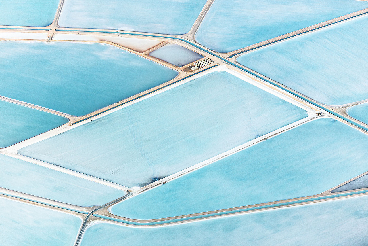 lehroi:  Shark Bay, Western Australia, 2014.Simon Butterwort