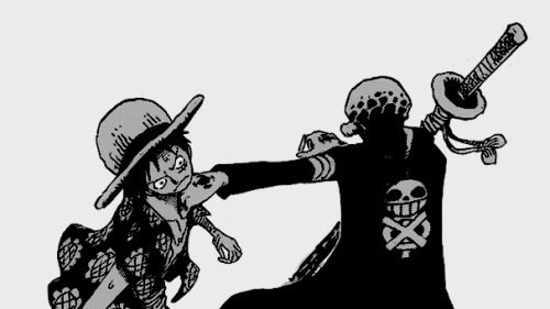 : LawLu Law and Luffy throughout the years