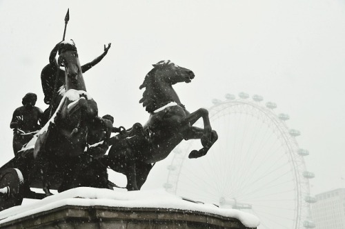 englishsnow:   by Paolo Camera   Trafalgar Square