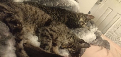 Taking Up Space