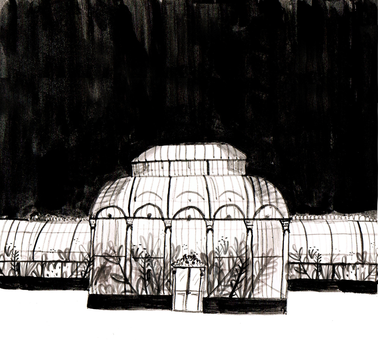 alanakeenan:  Nighttime at the botanic gardens.