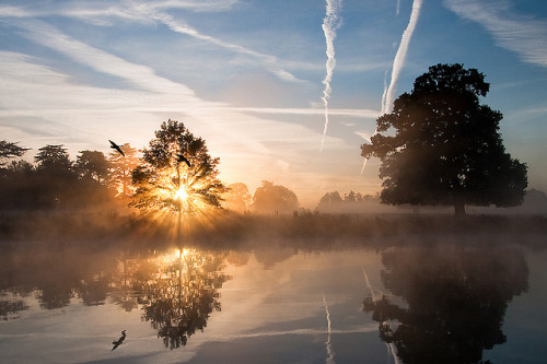 wnderlst:Langley Park, Buckinghamshire