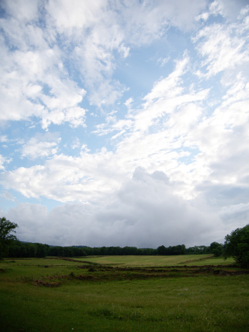 Pastures in Jura, France - 2019