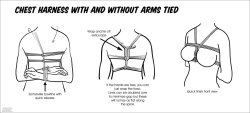 bdsmgeek:  Chest Harness with and without