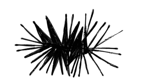 Rejected film frames