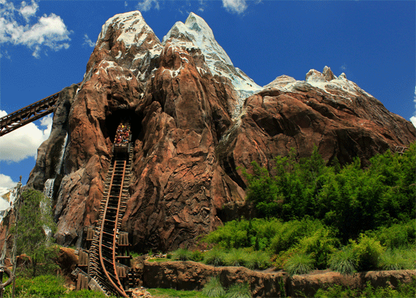 im going to animal kingdom today!