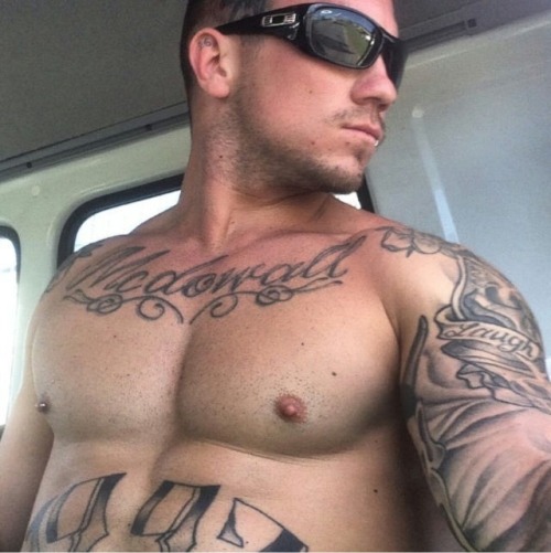 dirtbagfun69: usemeplasesirr:Alpha I would worship