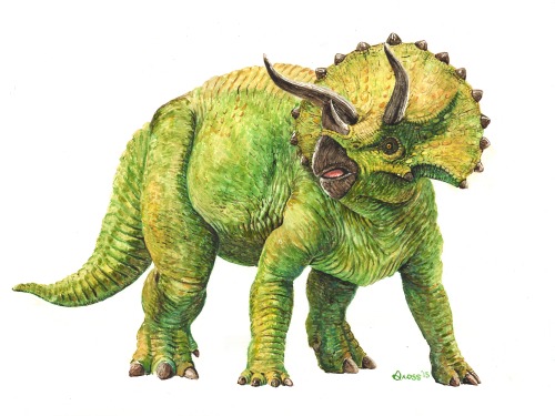 Triceratops by Brett Gross. Water color on water color paper. 24"x18".