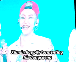minseoked:  #stopxiumin2014 - please stop tormenting your dongsaengs (and fans) 