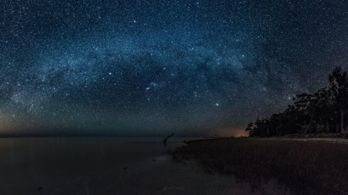 just–space:The night sky at Shired Island in Florida js