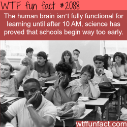wtf-fun-factss:  Are morning classes good