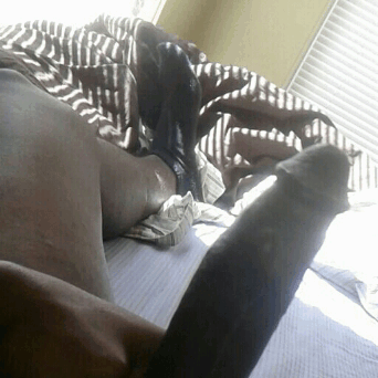 tallybbc850: Current status…. Kik or sc tampabbc813 #bbc #bigdick #hungdaddy #bigblackcock #t