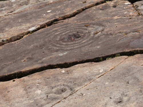 Achnabreck Rock Art, Argyll, Scotland, 25.7.16. A second visit to Kilmartin Glen provided me with so