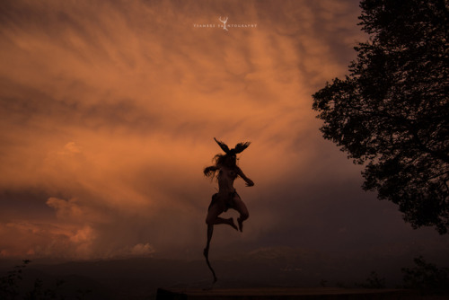 “SUR LES AILES DE L’ORAGE” (Riding the storm) ~ © Ysambre fauntography 2019