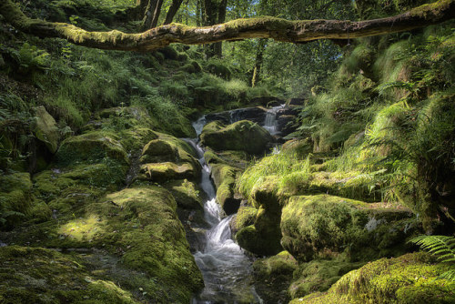 Stream on dartmoor by NikonAndOn on Flickr.