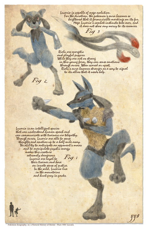 Pokemon Zoography, or, a Natural History of Sinnoh - Plate 448: Lucario► Store ► buy me a coffee ► s