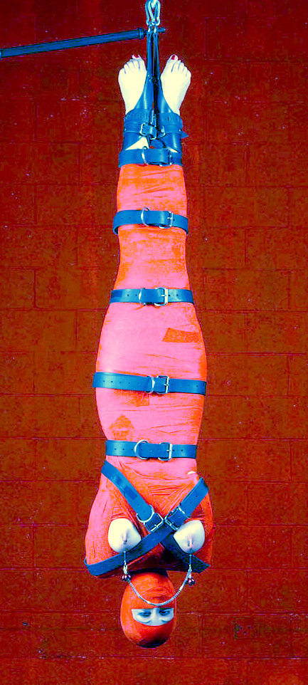 owenmo55:  