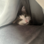 leetlesnakeygremlin