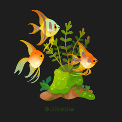 Pikaole: Fresh Water Fish And Plants [ Patreon / Twitter / Insta / Shop / Print