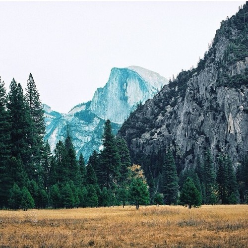 folklifestyle:  Yosemite. By @jmetheridge. #liveauthentic #lifefolk