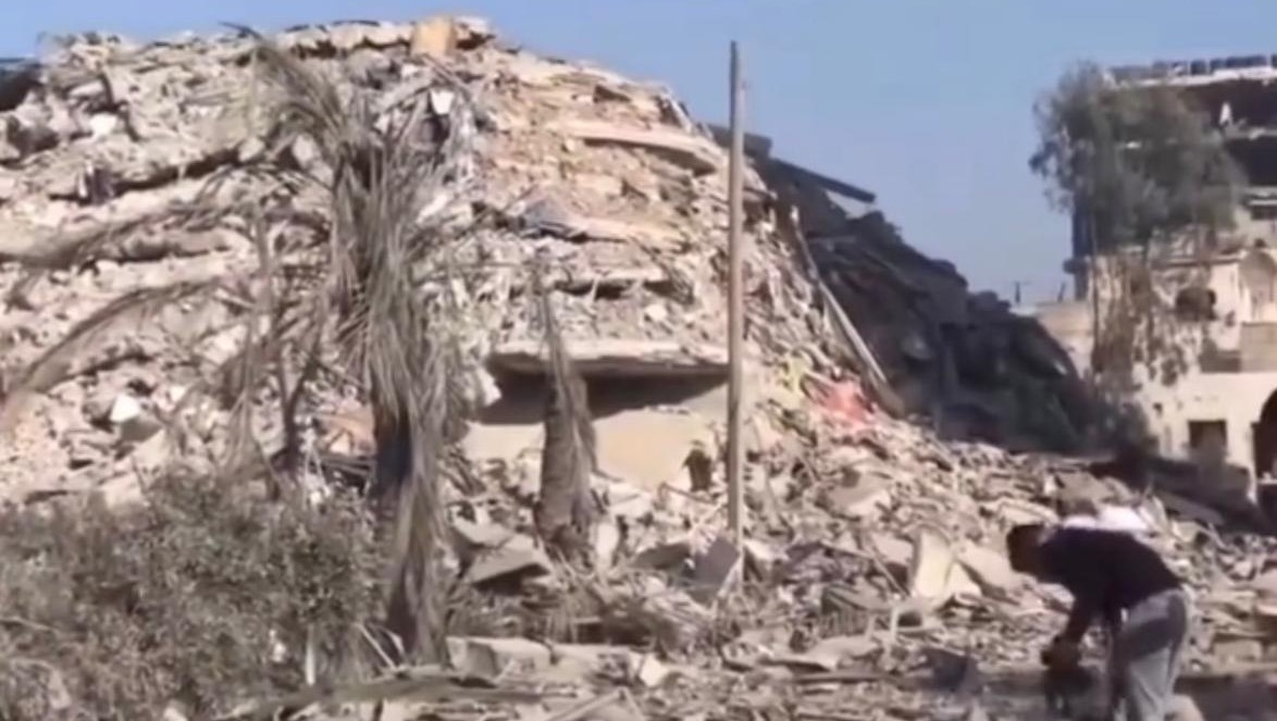 Donate to Help me to survive out of Gaza., organized by Dima Nabahin
