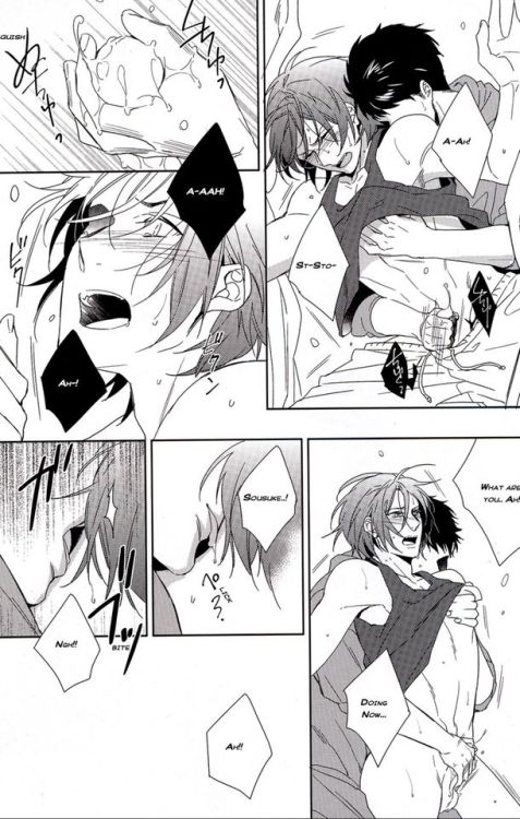 ireadyaoimangas:  em loving the whale shark now sooo..