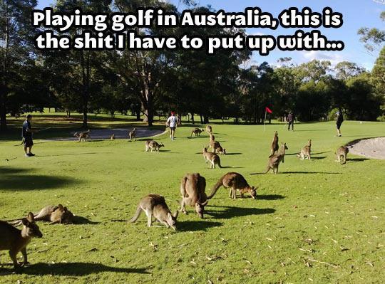 pleatedjeans:  Things Are a Little Different in Australia (21 Pics)  And can I just