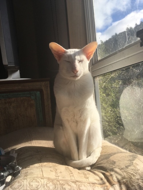 n-trance:He’s so handsome