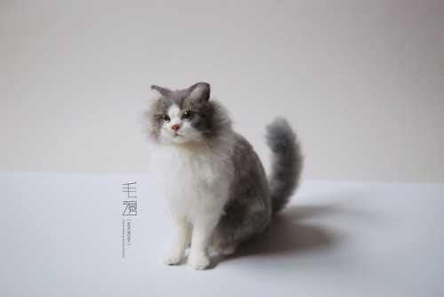 ▋ Persian cat ( custom-made ) Sculpture approximately 10 x 16 x 17 cm ( not including the tail )