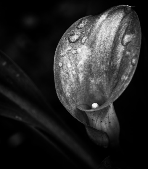 Emerging