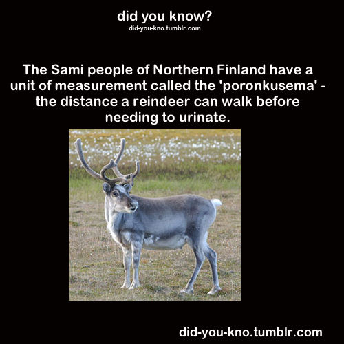 did-you-kno:  Source  Lolwut?!
