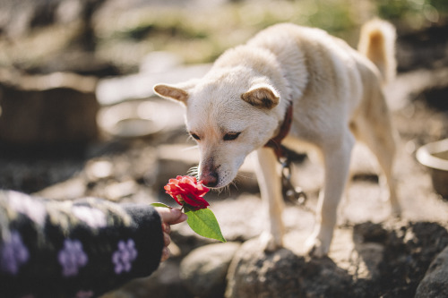 2021-03-13Canon EOS R6 + RF50mm f1.2LInstagram  |  hwantastic79vivid