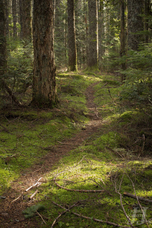 oh-haroo:  natureac:  Nature Photography   