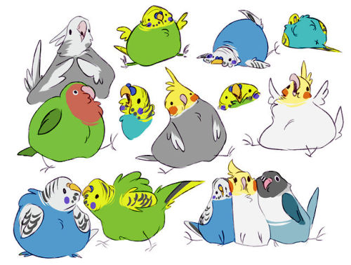 unbadger: i haven’t drawn anything in nearly two weeks and then fat dumb burds ty 4 the sugges