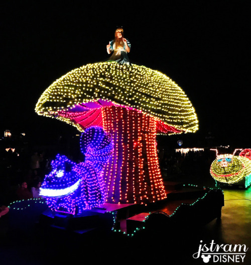 Main Street Electrical Parade