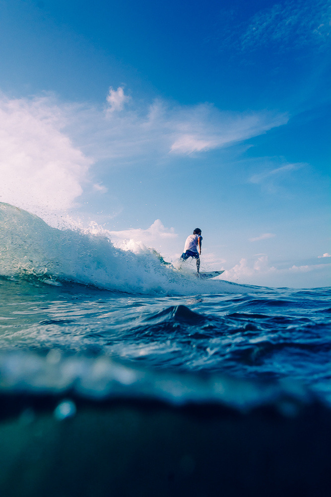 Kingdom Of The Ocean