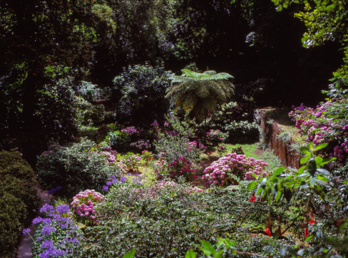 Sintra, Portugal.Mamiya 645 + Fuji Velvia