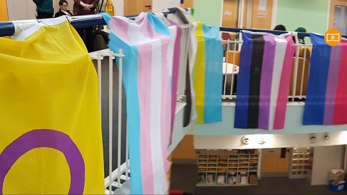 volthurbrii:loving-women-is-rad:loving-women-is-rad:My university celebrating LGBT history month wit