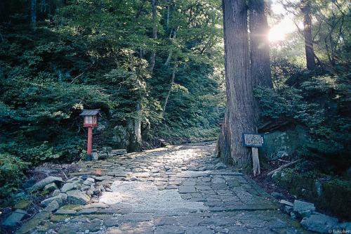 参道の光 by peroparo on Flickr.