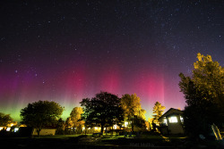 Matt-Molloy:  I Set My Camera Up On The Dock In My Backyard To Try And Catch The