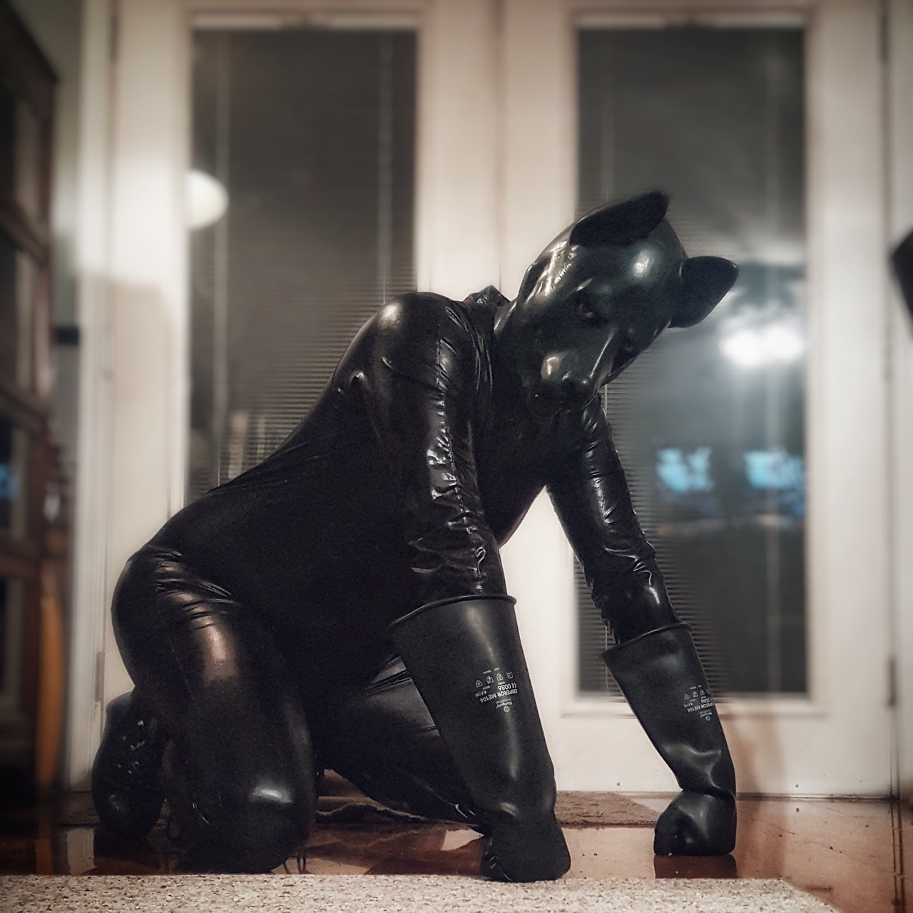 pupursus:Puppy needed to get slinky again…  #FullCoverageFriday