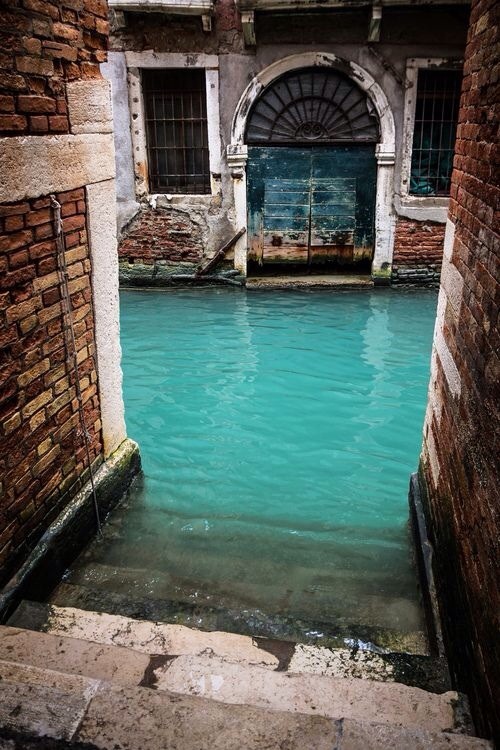 teenageers:  venice