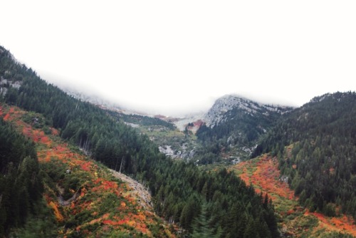 matchbox-mouse:Autumn in the mountains, British Columbia